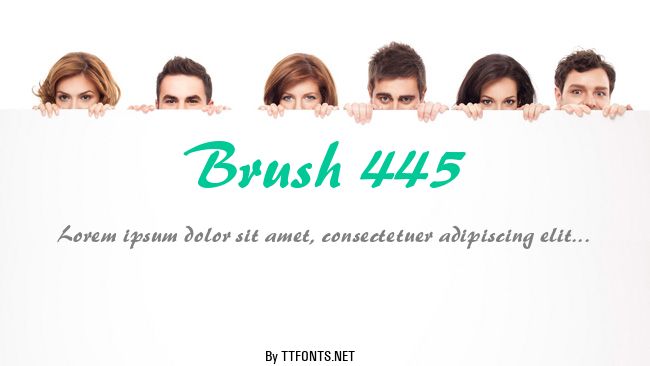 Brush 445 example